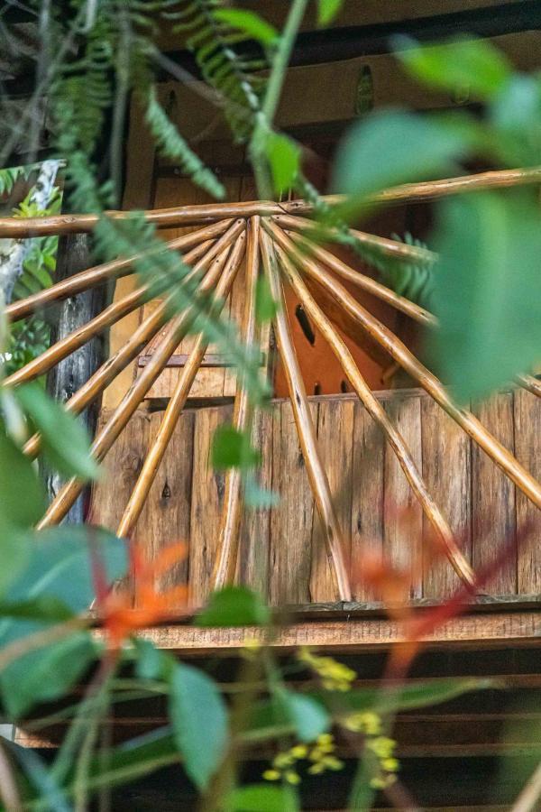 Villa Cambuca Surf Skate Ubatuba Exterior foto